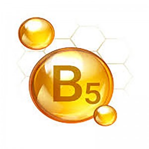 Newpharm Factory Supply Bulk Vitamin B5 Powder 99% Pantothenic Acid D-Calcium Pantothenat Powder