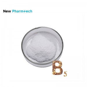 Newpharm Factory Supply Bulk Vitamin B5 Powder 99% Pantothenic Acid D-Calcium Pantothenat Powder